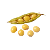 अरहर की फसल