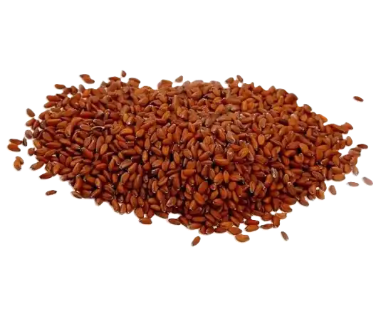 असालिया की फसल