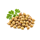 धनिया की फसल