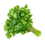 हरा धनिया की फसल