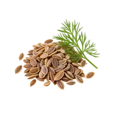 सुआ की फसल